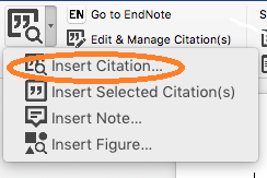 how to get endnote toolbar in word on mac