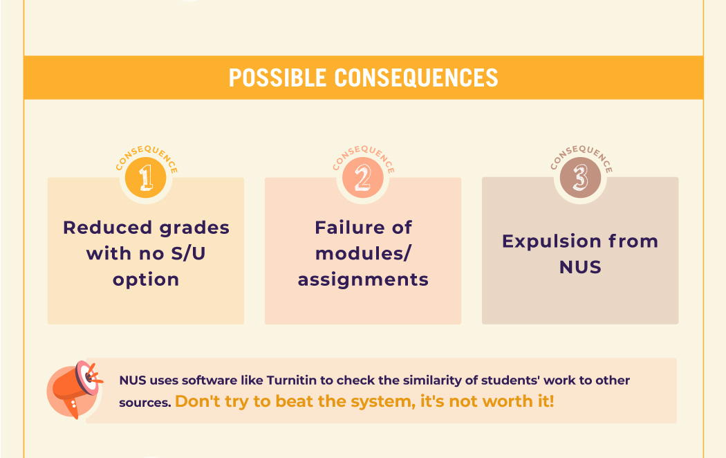 Possible consequences of plagiarism