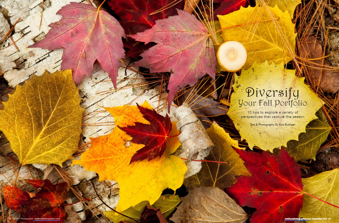 Library News - LibGuides at China Europe International Business School