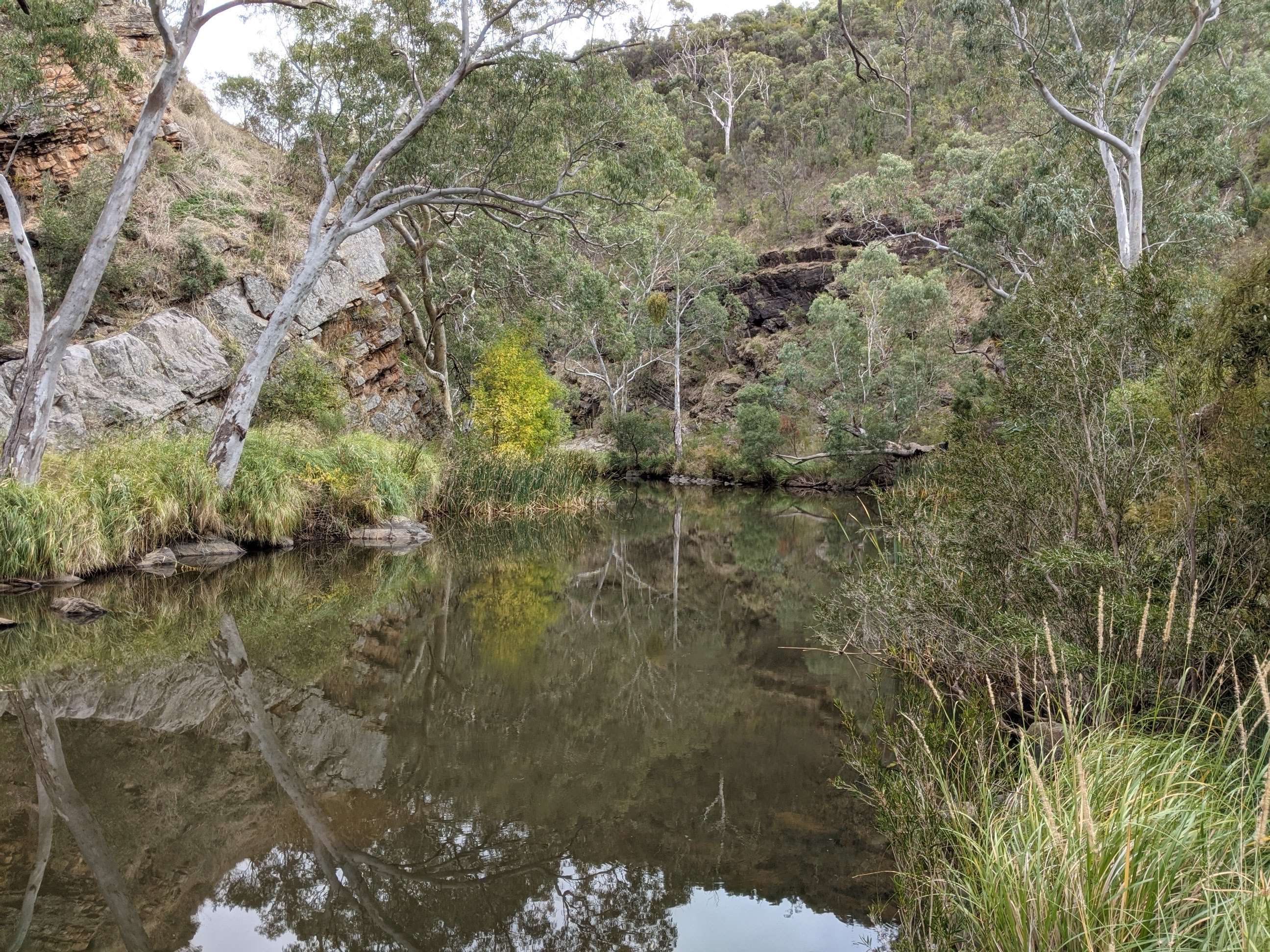 Onkaparinga River National Park, South Australia