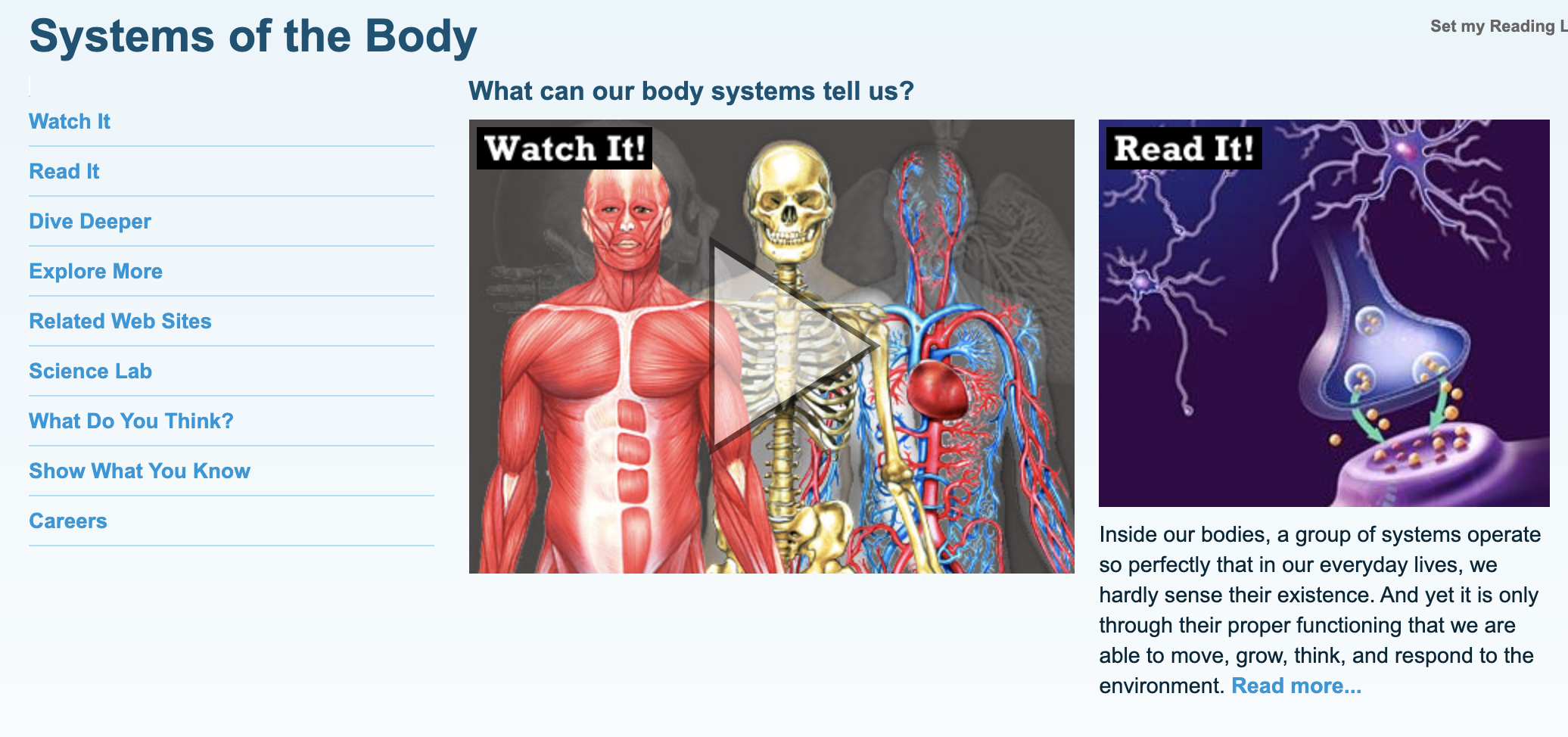 Human Body - Grade 4 - LibGuides at Dalian American International School