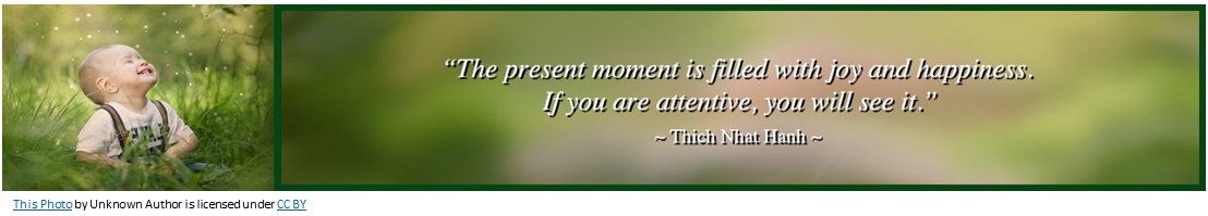 Mindfulness Quote