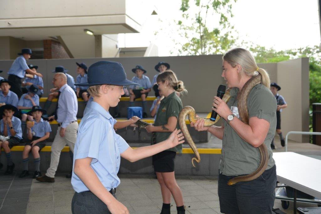 Book Week 2020