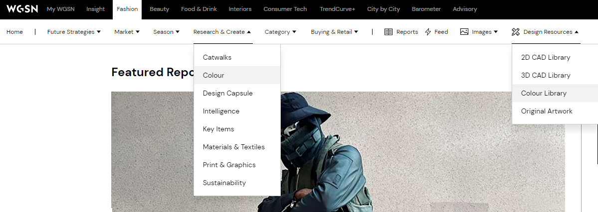 Screenshot of WGSN database