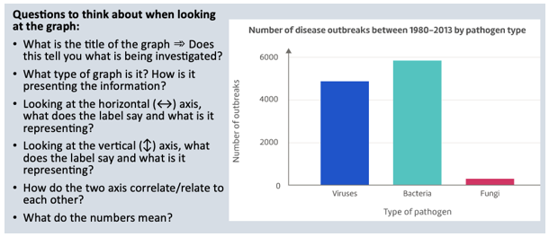 Types of Graphs - Numeracy - LibGuides at Canterbury Girls' Secondary