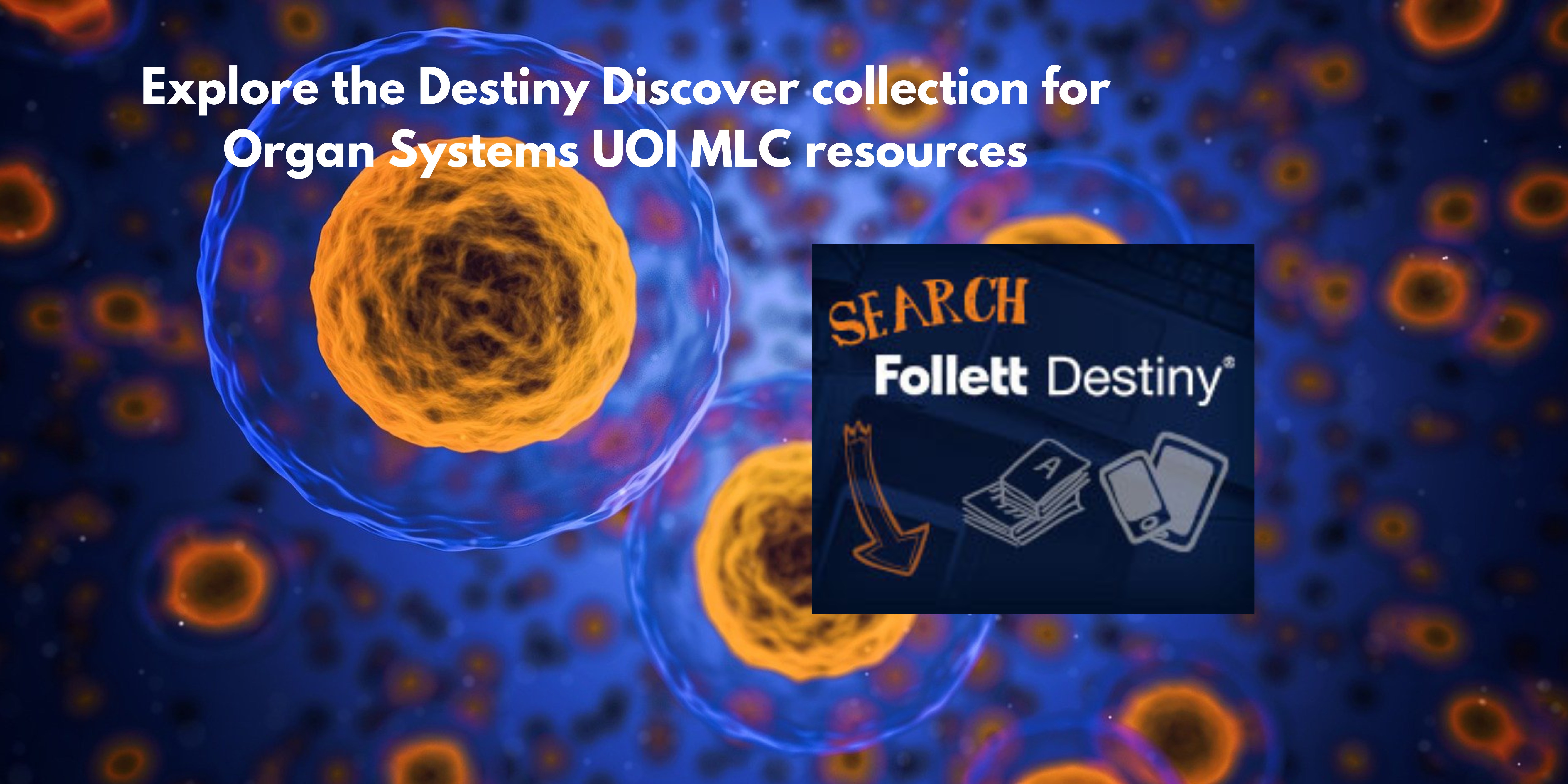 Home Year 5 Units Of Inquiry LibGuides At NIST International School