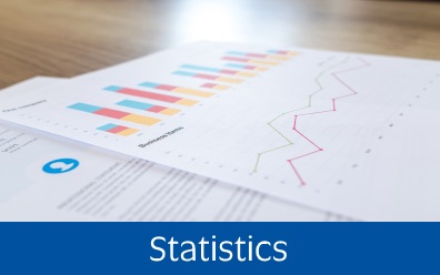 Navigate to the Statistics page within this guide