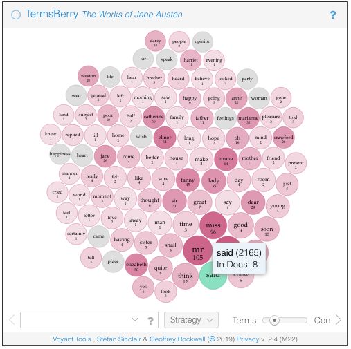 Voyant TermsBerry example.