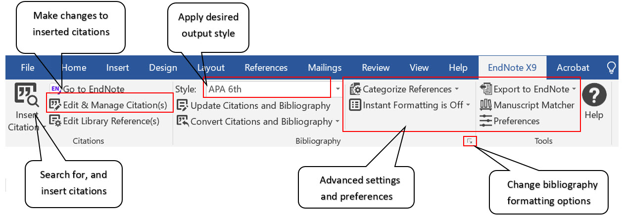 endnote not showing in word