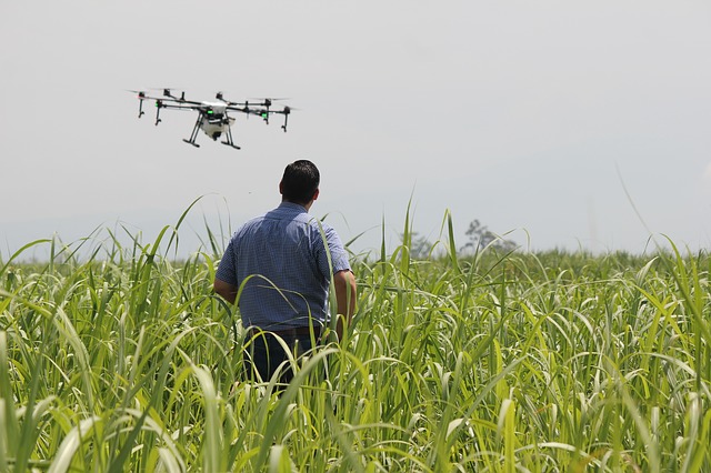 Drone in use in agriculture