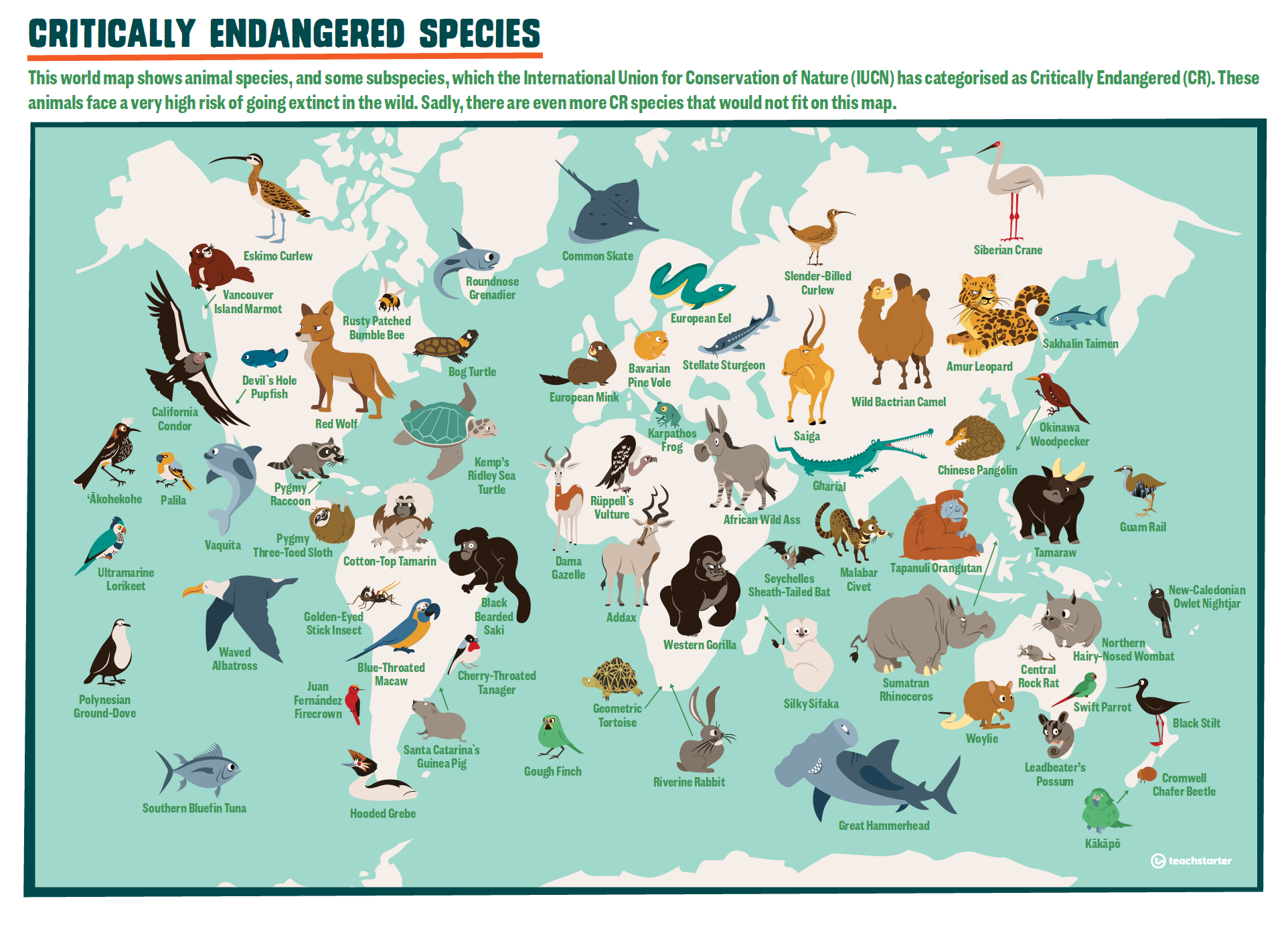 Sharing the Planet (STP) - Grade 3 - LibGuides at United Nations 