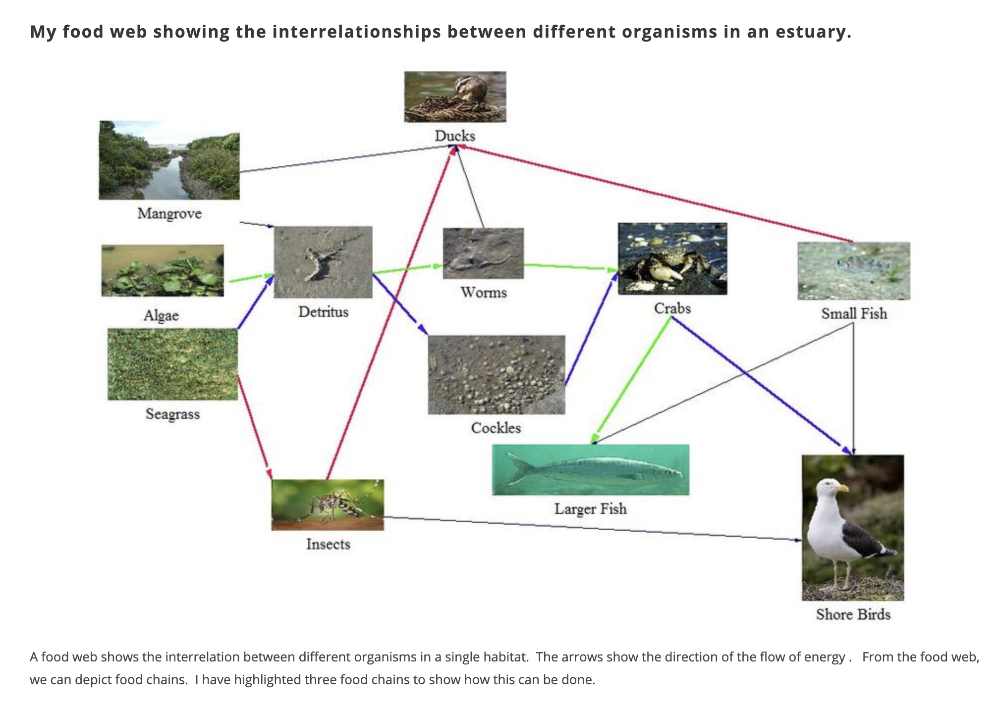 Estuaries Science10 Marine Ecosystems in W.A