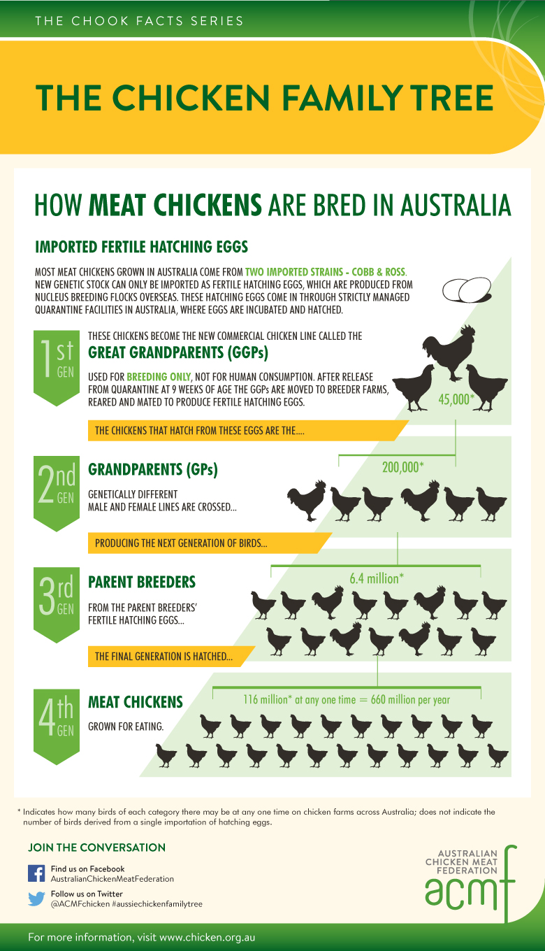 Part C Selective Breeding Natural Selection & Evolution LibGuides